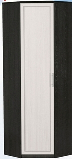 Шкаф для одежды угловой ДЛЯ ГОСТИНОЙ ШОУ-695 Венге/Дуб выбеленный в Нижнем Ингаше - nizhnij-ingash.mebel54.com | фото
